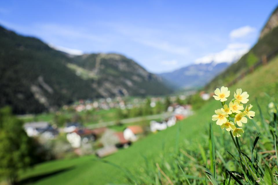 Frühling im Tiroler Oberland
