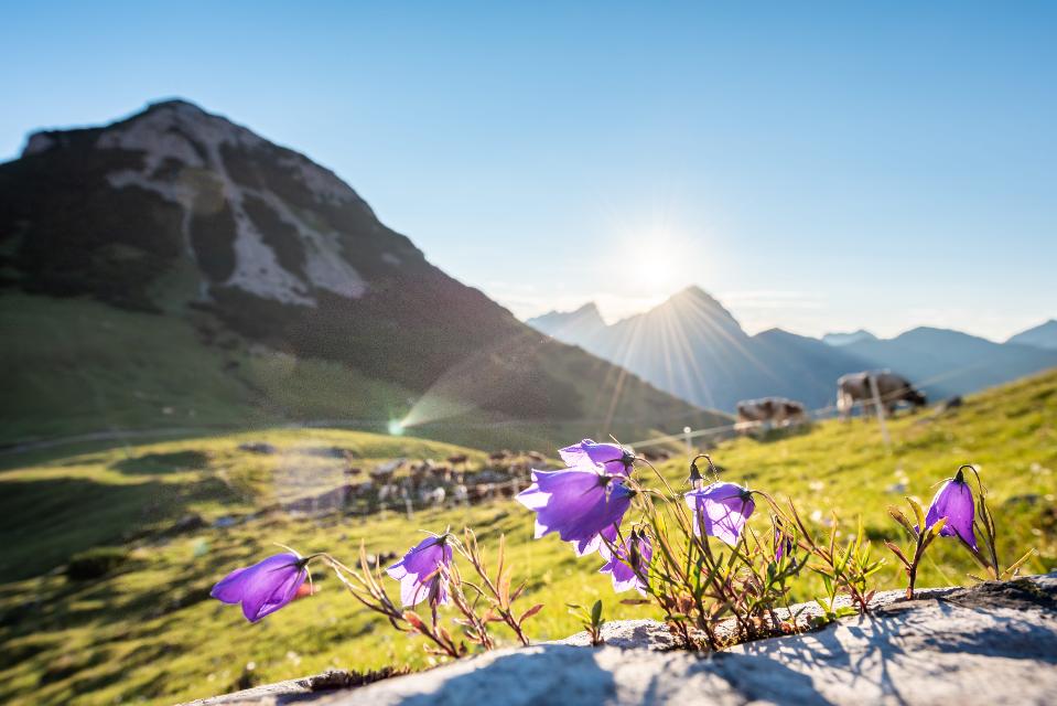 Hohljoch Eng in der Silberregion Karwendel