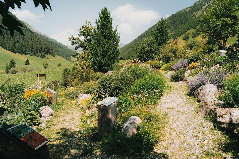 Ortskern von Schmirn im Sommer mit dem Alpenblumengarten im Ortsteil Toldern