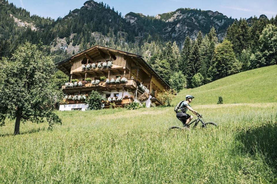 Mountainbiker in einer Sommerwiese im Alpbachtal
