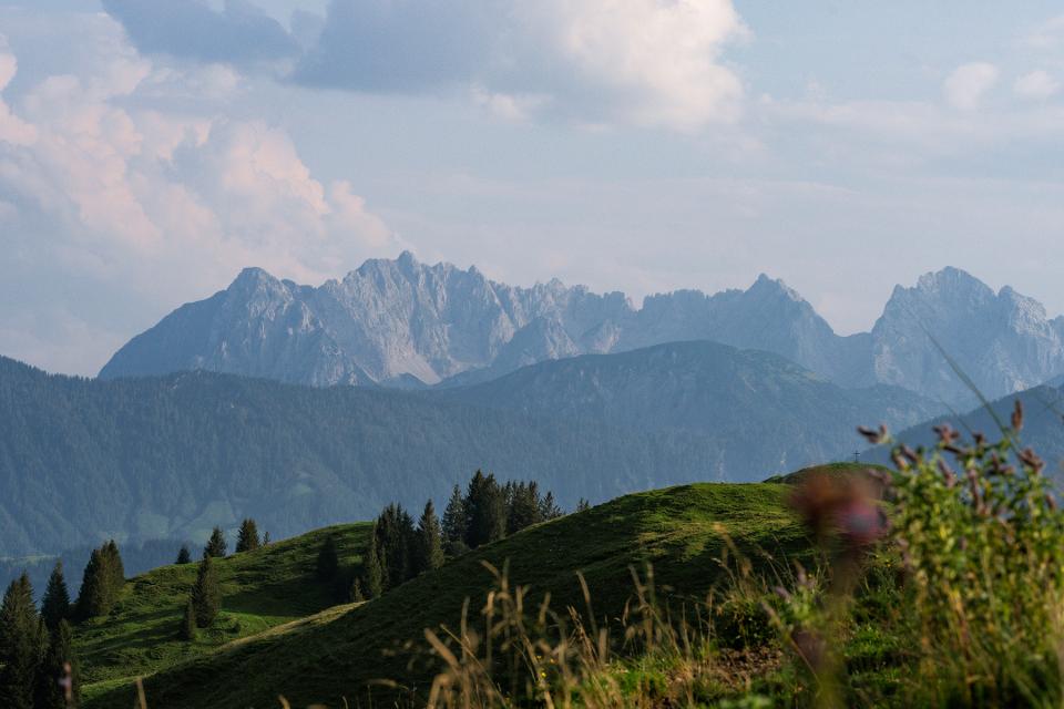Sommer im Kaiserwinkl