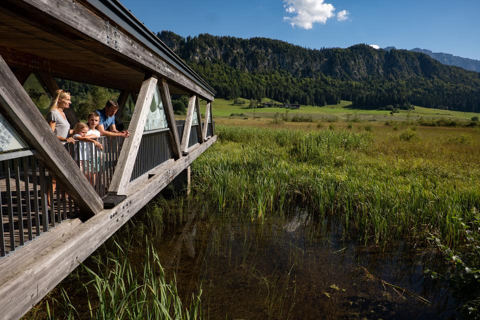 Nordtirols größte Moorlandschaft ist die Schwemm bei Walchsee