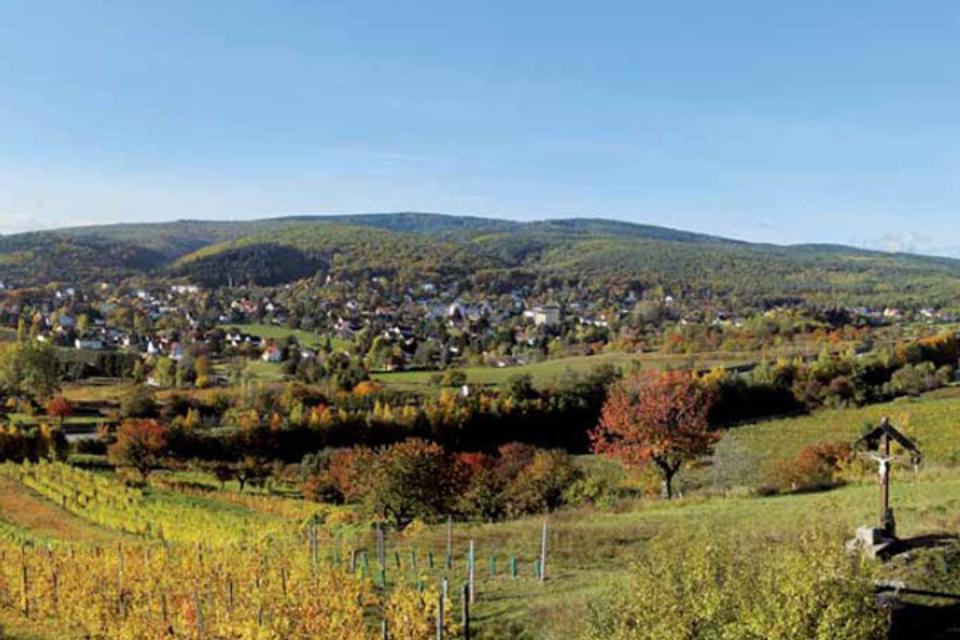 Wetterkreut Bad Sauerbrunn