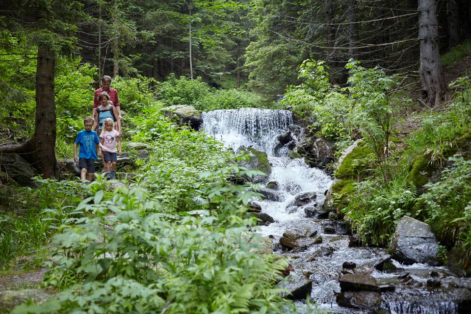 Wandern am Wildwasserweg in den Wiener Alpen