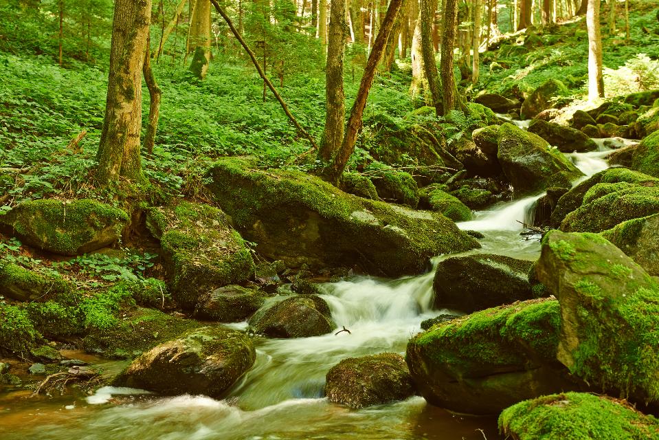Wandern bei der Steinbachklamm am Weitwanderweg Nibelungengau