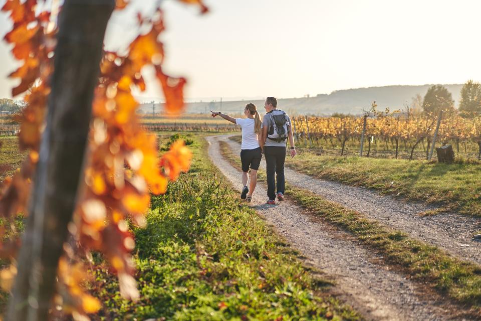 Abwechslungsreiches Wandern im Burgenland