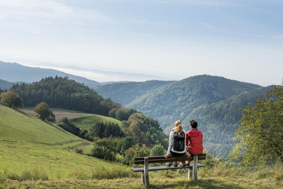 Aussicht ins Weitental bei einer Wanderung im südlichen Waldviertel