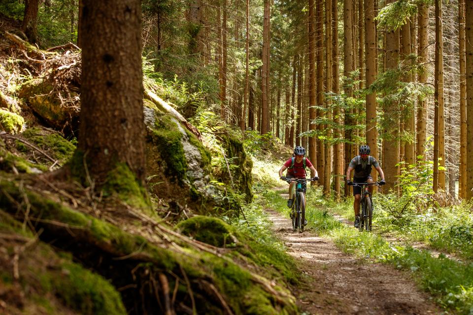 Mountainbiker auf dem Granittrail im Waldviertel