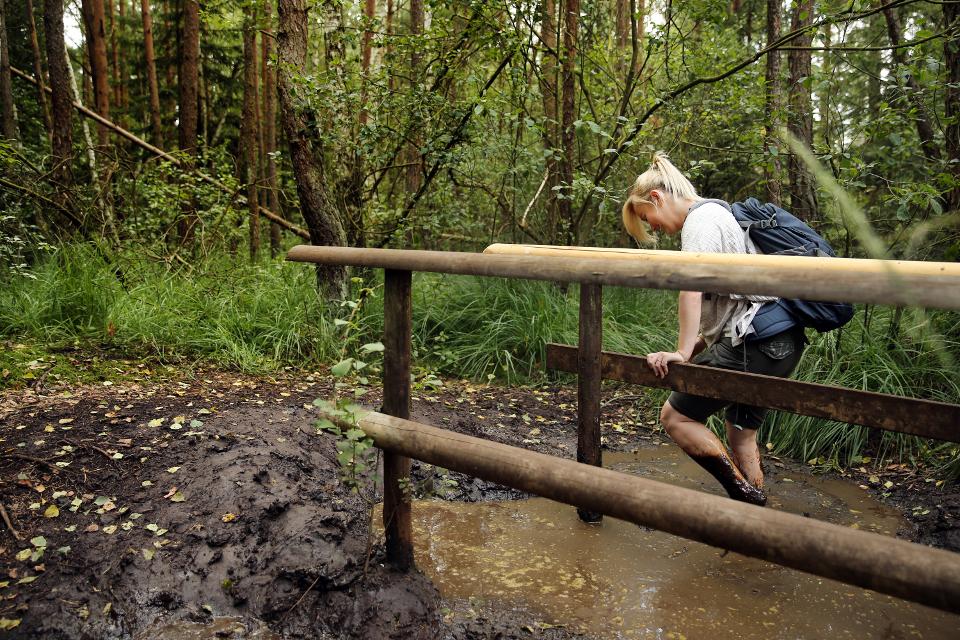 Wandern im Hochmoor Schrems im Waldviertel