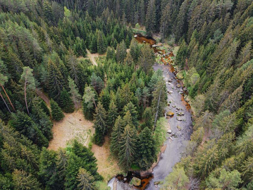 Kamptal zwischen Zwettl und Roiten im Waldviertel von oben