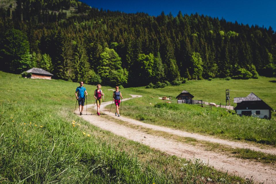 Wandern bei der Falkensteinalm