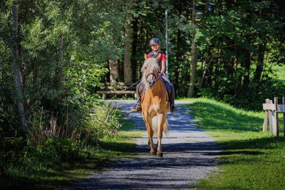 Reiten im Brandnertal