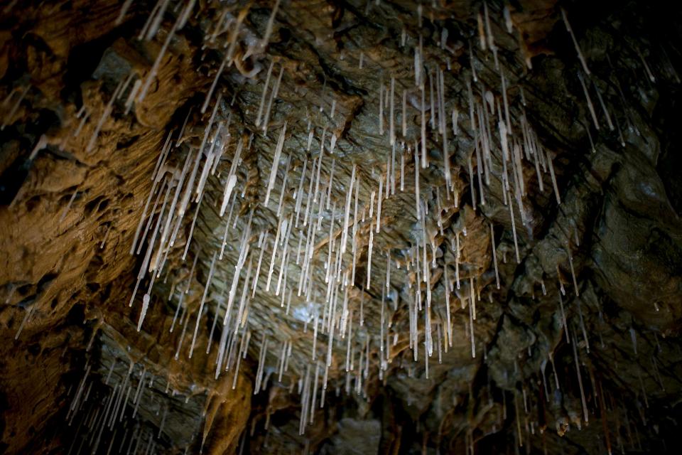 Die Lurgrotte Peggau ist Österreichs größte wasserdurchströmte Schauhöhle