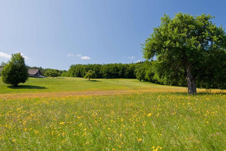Schöpflwanderung Wienerwald