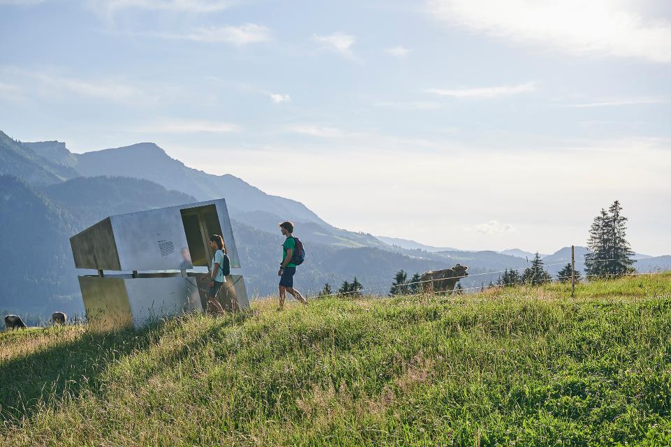 Georunde Rindberg in Sibratsgfäll