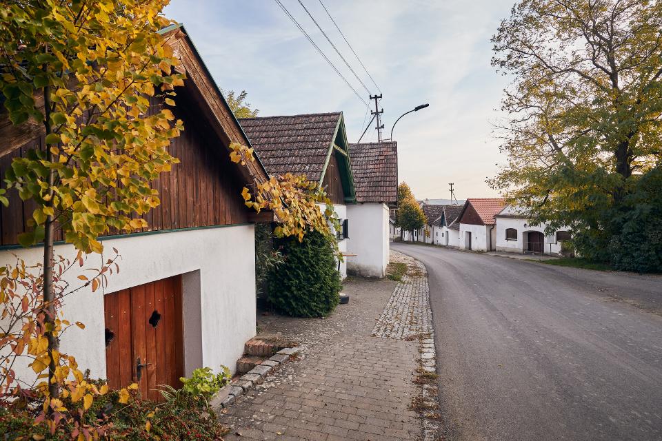 Kellergasse Alberndorf im Weinviertel