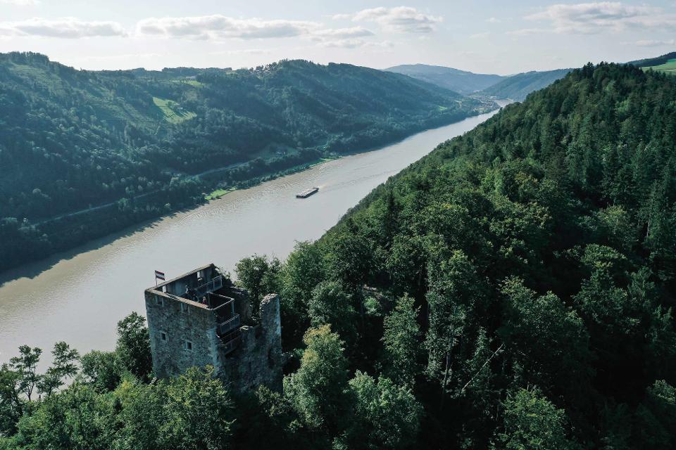 Blick auf die Donau mit Burgruine