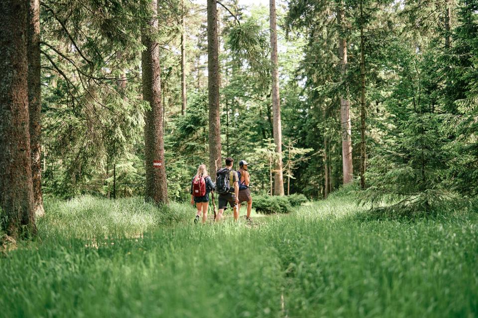 Die Region Böhmerwald in Oberösterreich bieten rund 600 km Wanderwege