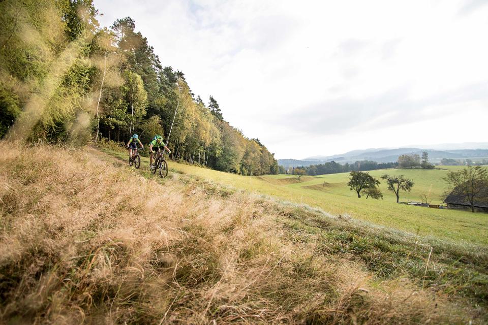 Biker fahren durch das herbstliche Mühlviertel
