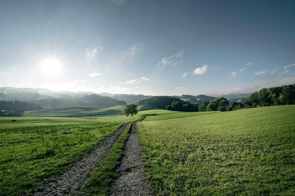 Blick auf das Mühlviertler Granitland