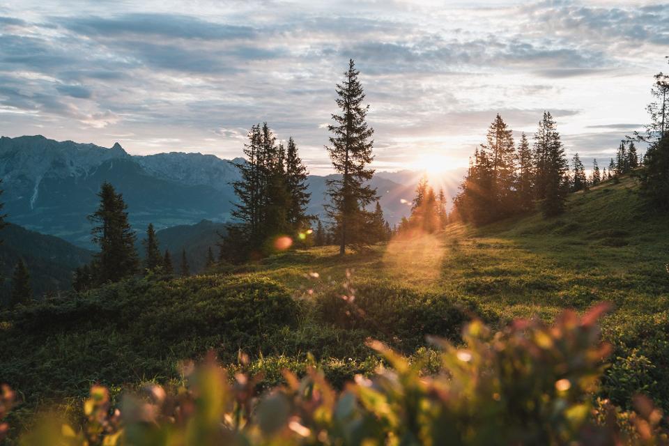 Impressionen aus der Hochkönig-Region