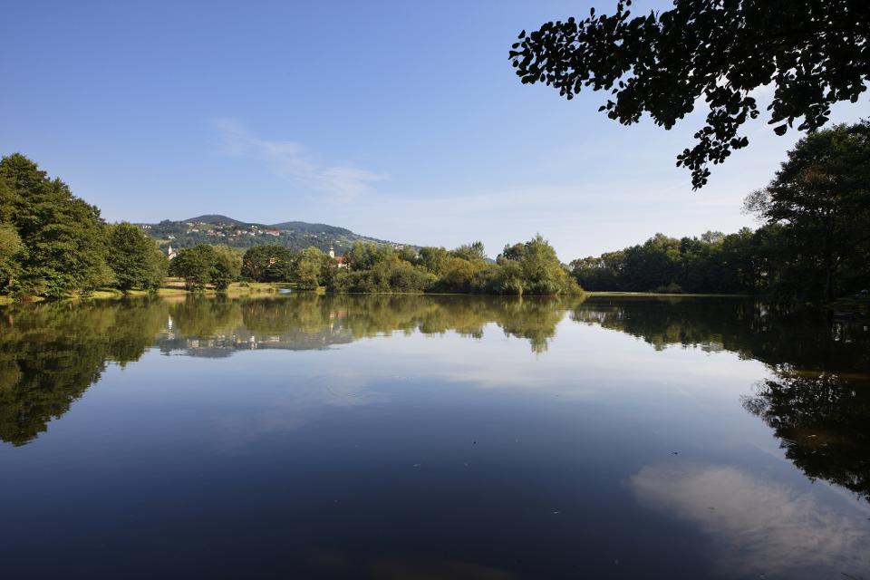 Gmoos Teich mit Blick auf Hartberger Ringkogel