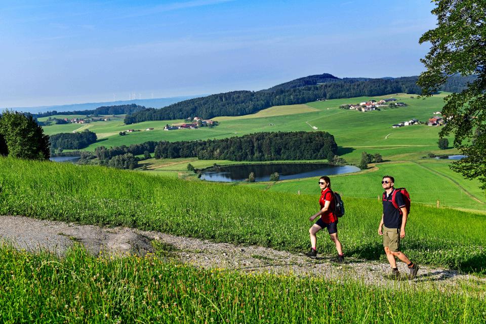 Wandern auf dem Buchberg im Salzburger Seenland