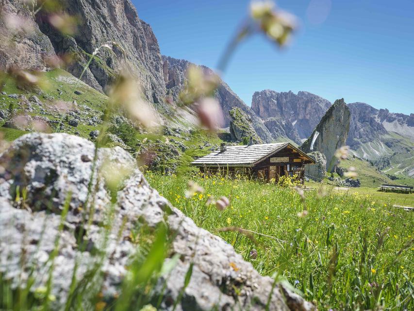 Cosy Pieralongia Hütte von Natur umgeben