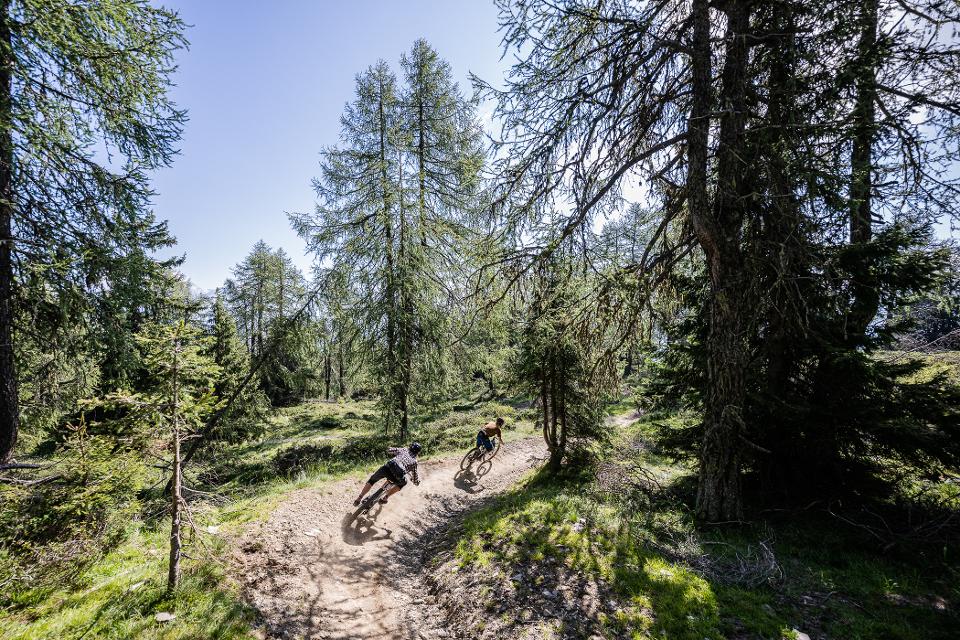 Biken auf den insgesamt 18 Trails am Kronplatz