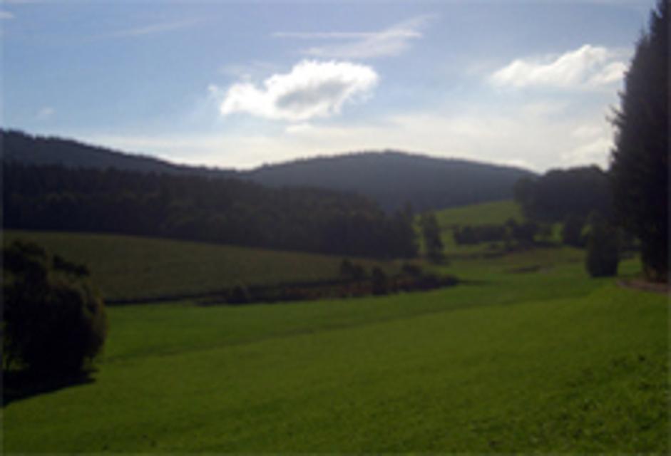 Blick von Oed auf das Riedbachtal