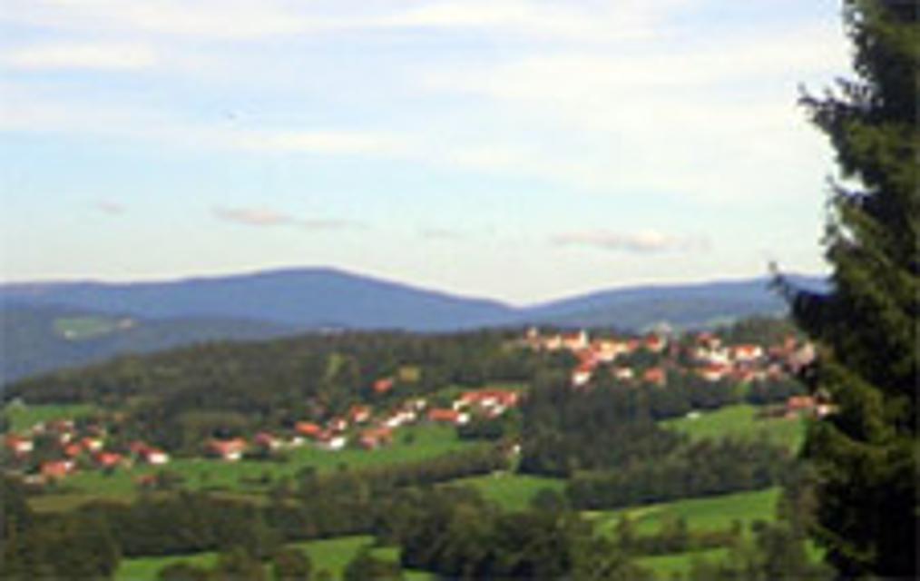 Blick auf Kollnburg