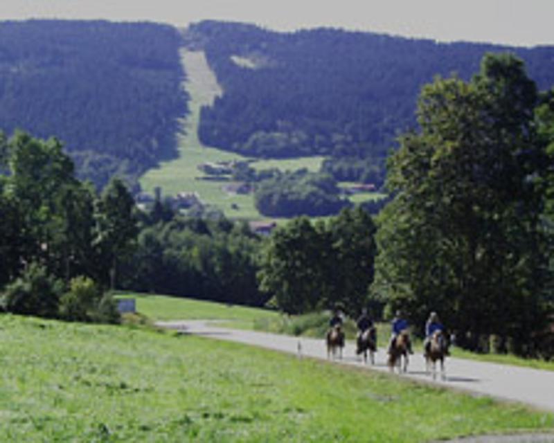 Wanderreiter bei Kollnburg