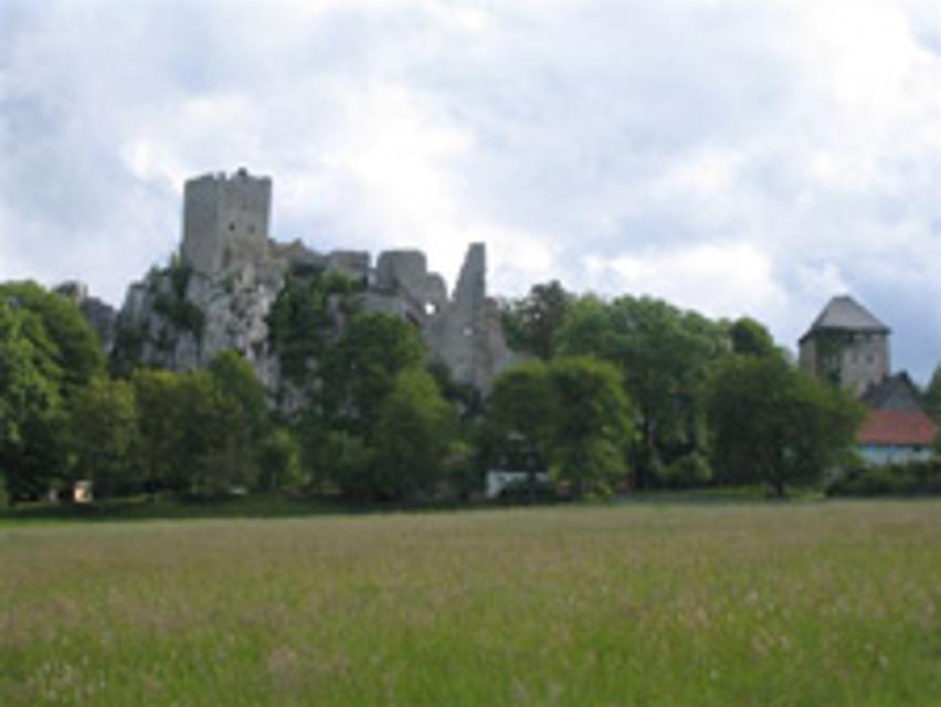 Burgruine Weißenstein