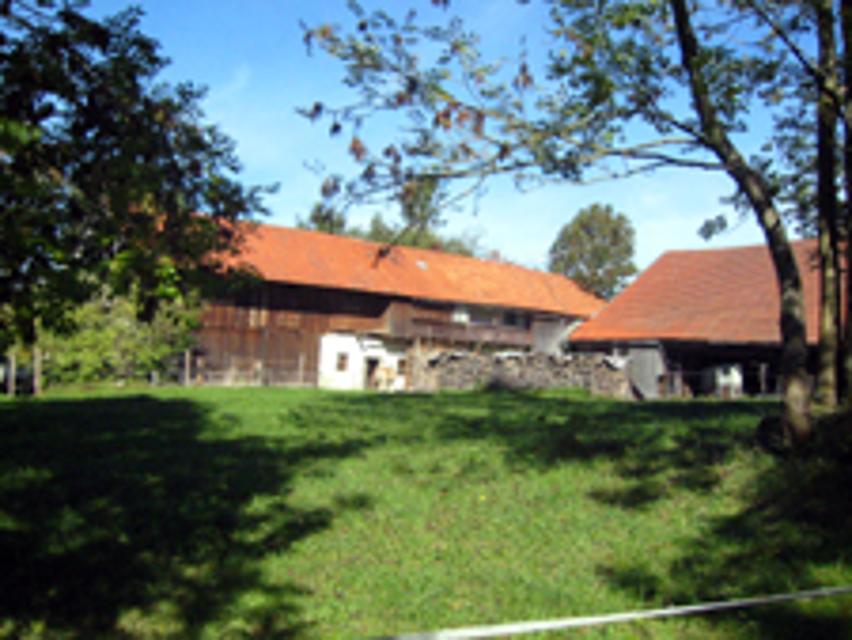 Bauernhof in Zachenberg