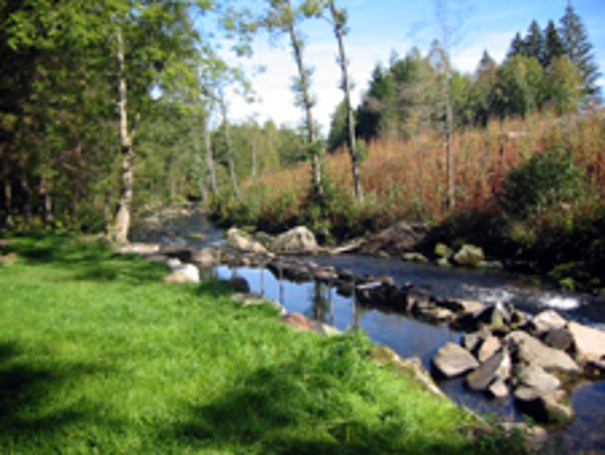 Kneippanlage an der Teisnach
