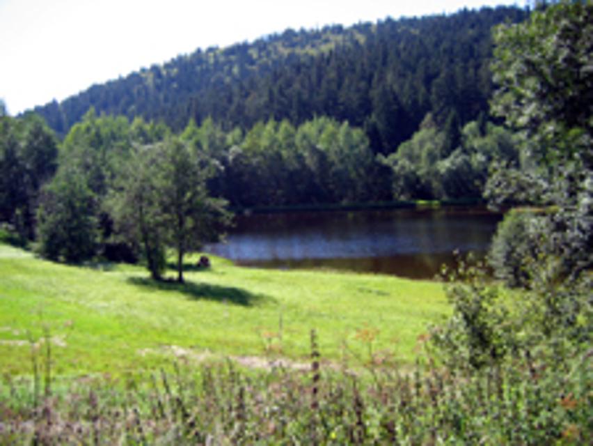Badesee in Mauth