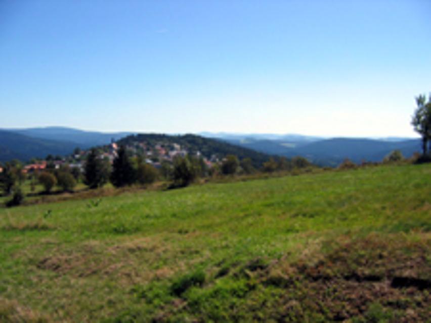 Ausblick auf die Ortschaft Finsterau