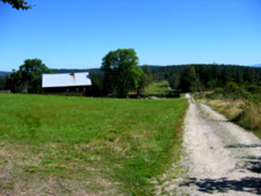 Wiesenlandschaft bei Finsterau-Reuten