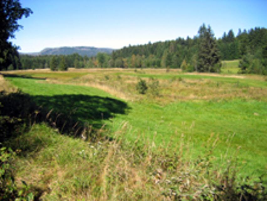 Idyllisches Reschbachtal