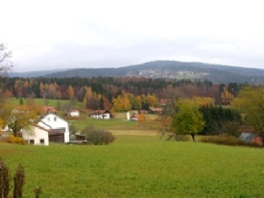 Ortschaft Guglöd, im Hintergrund Waldhäuser