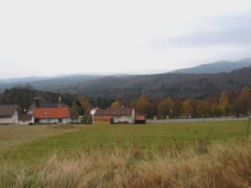 Ausblick von Waldhäuser