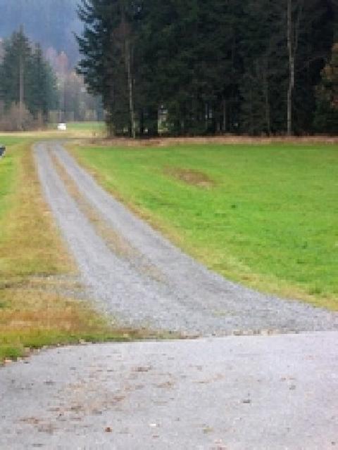 Radweg zwischen Neuschönau und Haslach