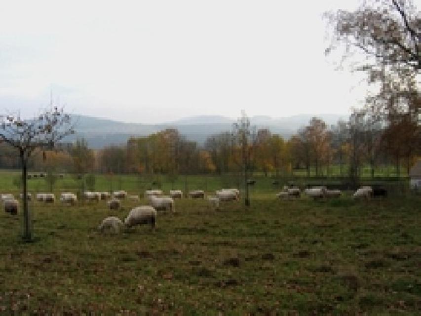 Ausblick bei St. Oswald