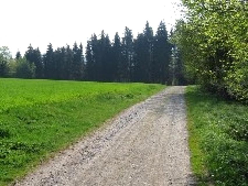 Idyllischer Wanderweg