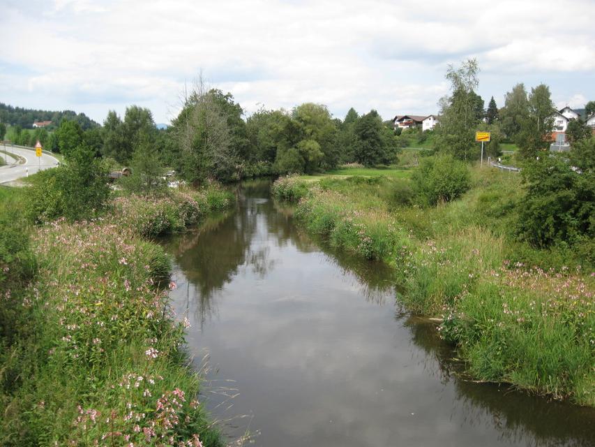 Die Ohe in Rinchnach