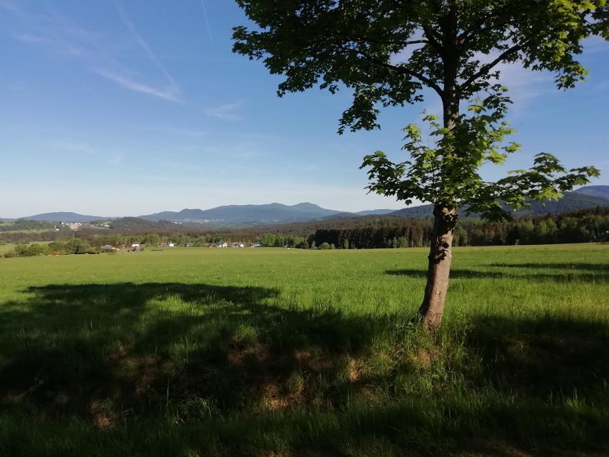 Ausblick in Oberfrauenau auf das Arbermassiv