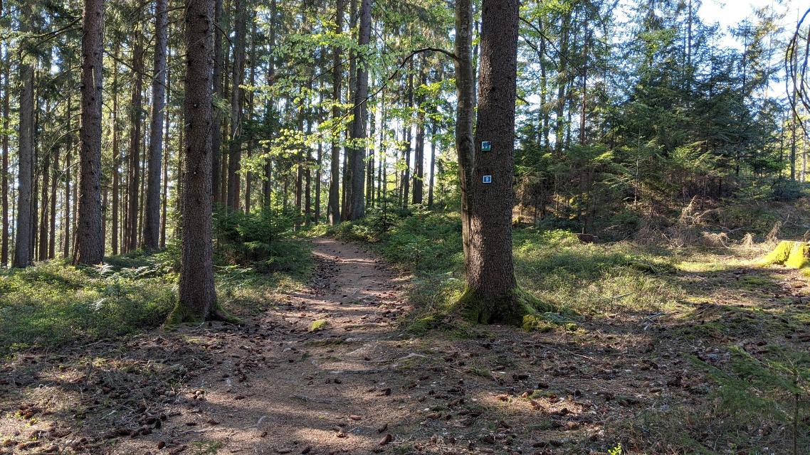 Anstieg zum Guntherkircherl auf der Tour - Rund um Rinchnach