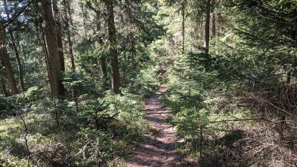 Trailig, flowige Abfahrt vom Guntherkircherl