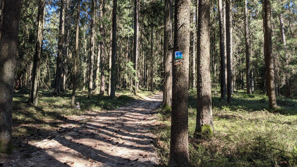 Rund um Rinchnach - Zwischen Ellerbach und Grub
