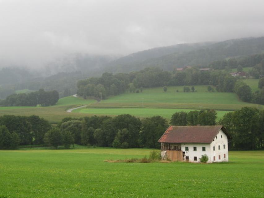 Landschaft bei Kollnburg